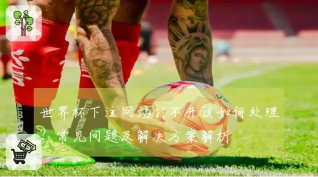 世界杯网站打不开？原因与解决方法
